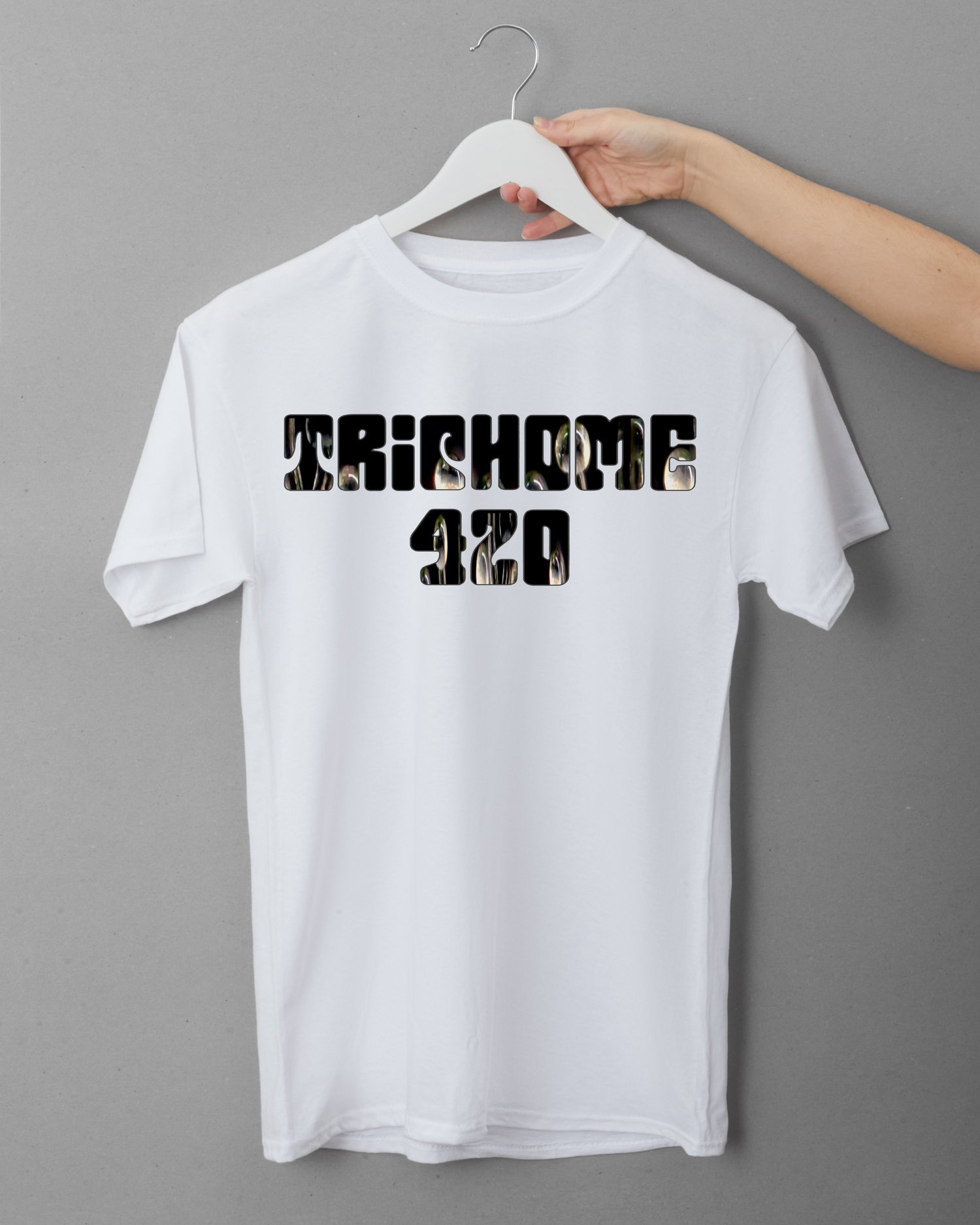 Terp Kollektion